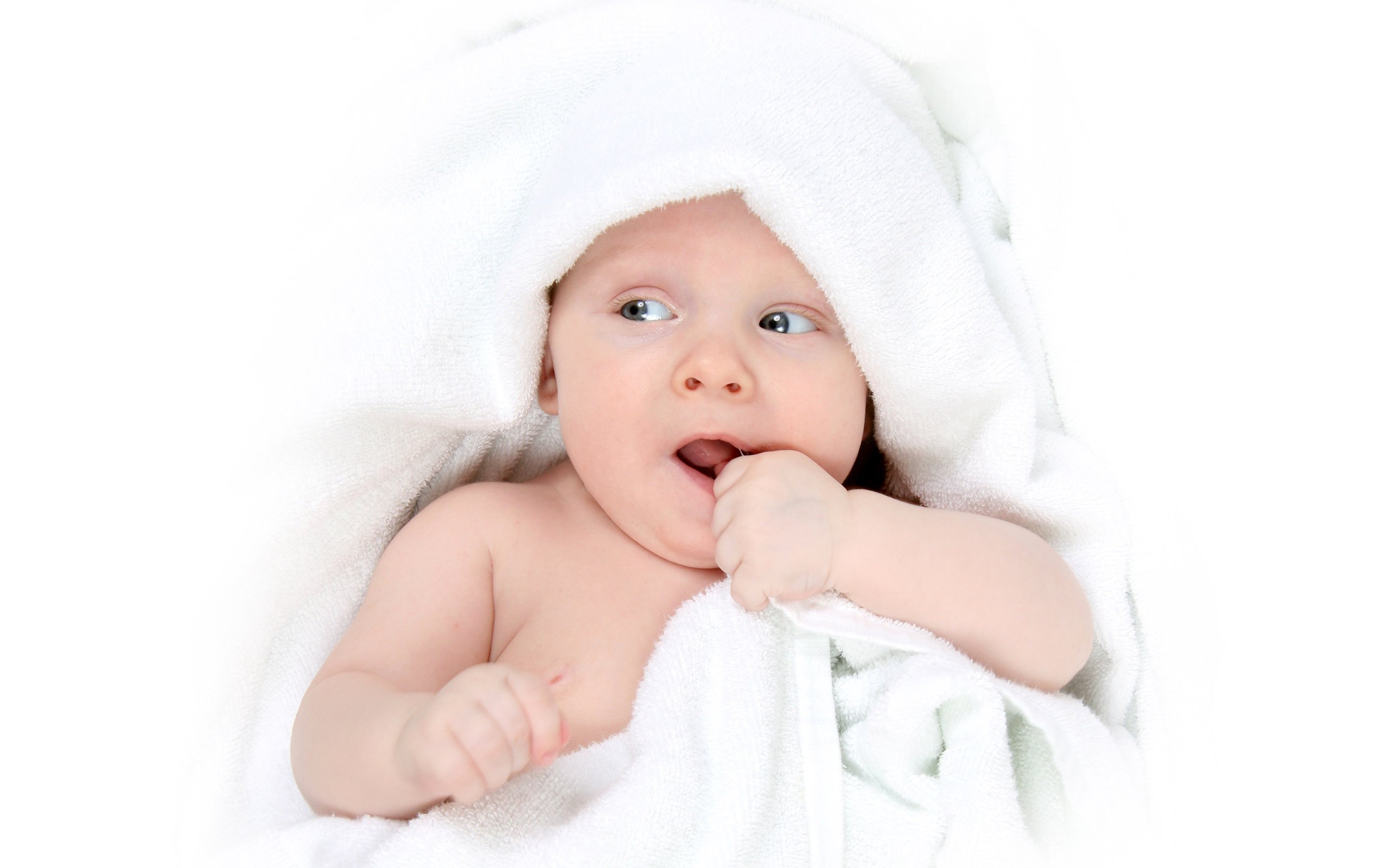 吉林正规医院捐卵试管婴儿短期方案的卵泡